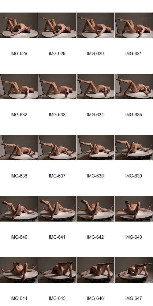 Artstation - 1700+ Complex Male Dancer Poses