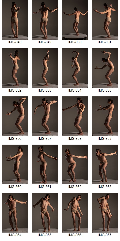 Artstation - 1700+ Complex Male Dancer Poses
