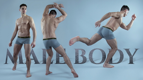 Pose & Reference Pack 800+