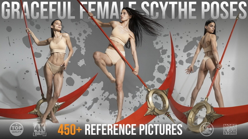 Pose & Reference Pack 800+
