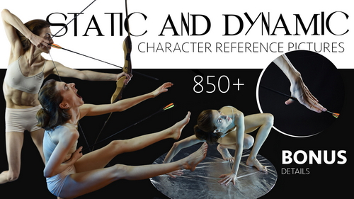 Pose & Reference Pack 800+
