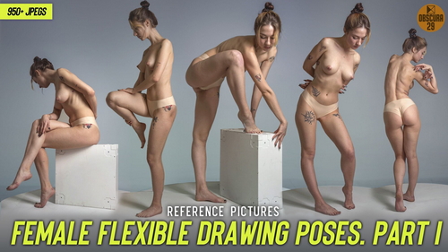 Pose & Reference Pack 800+