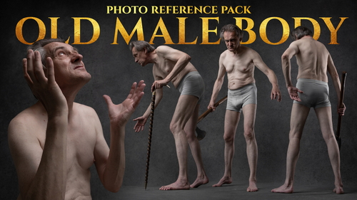Pose & Reference Pack 800+