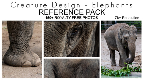 Pose & Reference Pack 800+