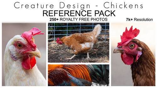 Pose & Reference Pack 800+