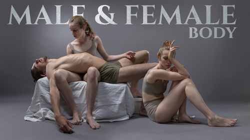 Pose & Reference Pack 800+