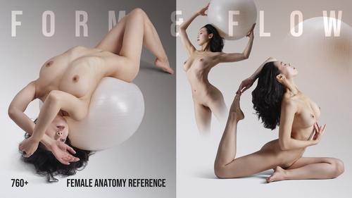 Pose & Reference Pack 800+