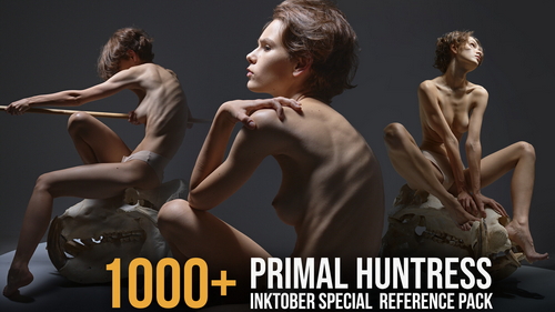 Pose & Reference Pack 800+