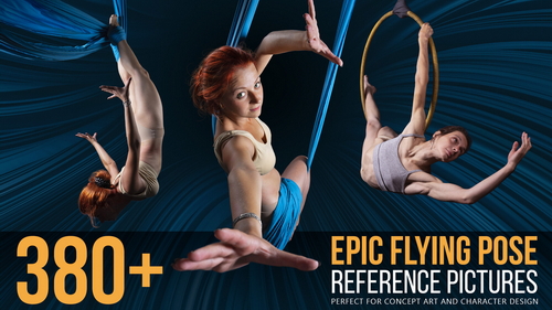 Pose & Reference Pack 800+