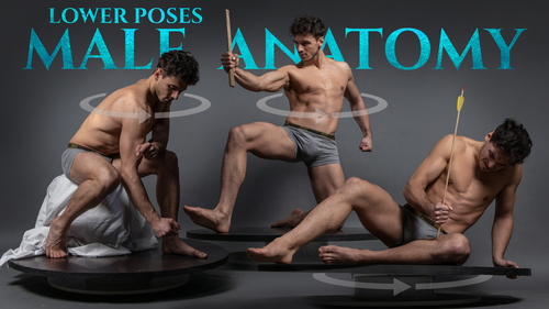 Pose & Reference Pack 800+