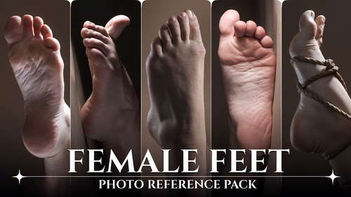 Pose & Reference Pack 800+