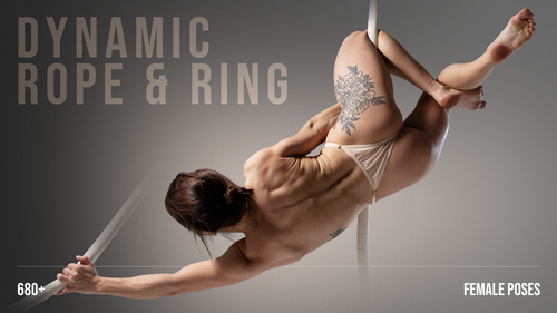 Pose & Reference Pack 800+