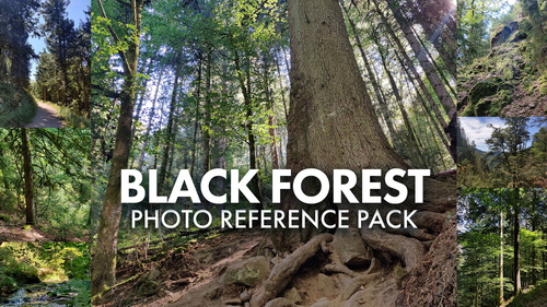 Pose & Reference Pack 800+