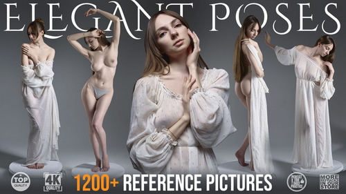 Pose & Reference Pack 800+