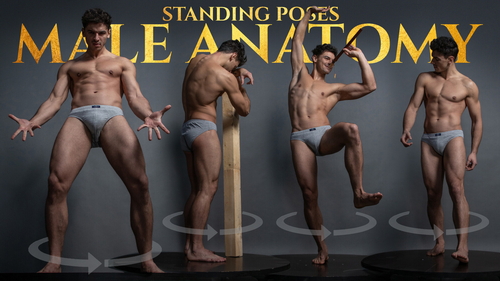 Pose & Reference Pack 800+