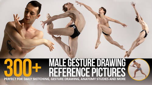 Pose & Reference Pack 800+