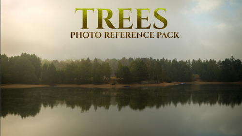 Pose & Reference Pack 800+