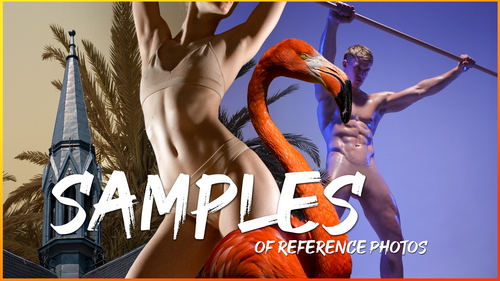 Pose & Reference Pack 800+