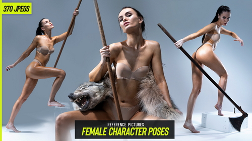 Pose & Reference Pack 800+