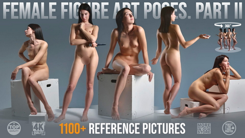 Pose & Reference Pack 800+