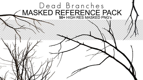 Pose & Reference Pack 800+