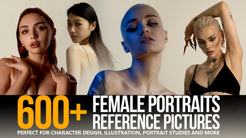 Pose & Reference Pack 800+