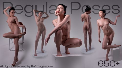 Pose & Reference Pack 800+