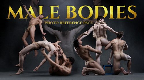 Pose & Reference Pack 800+