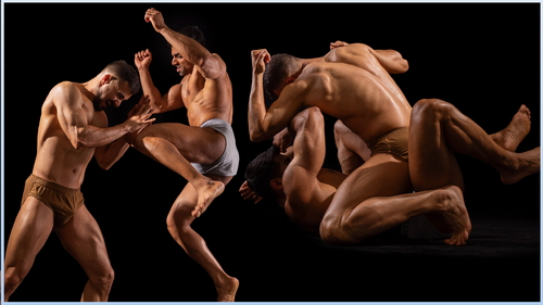 Pose & Reference Pack 800+