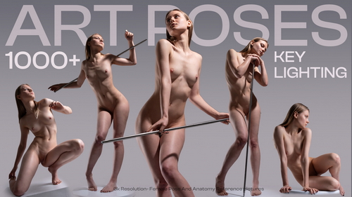 Pose & Reference Pack 800+