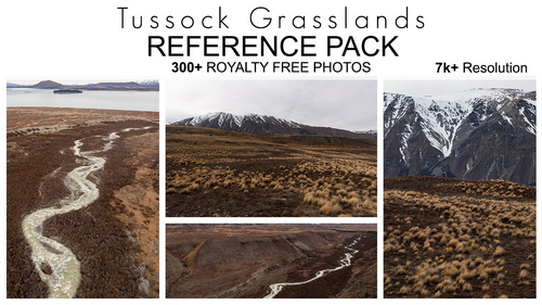 Pose & Reference Pack 800+