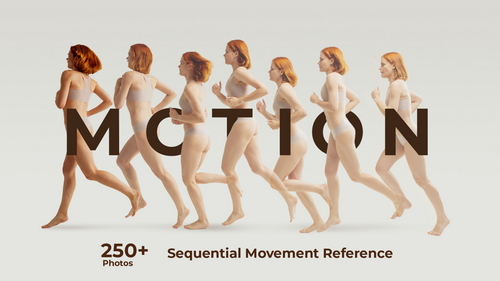 Pose & Reference Pack 800+