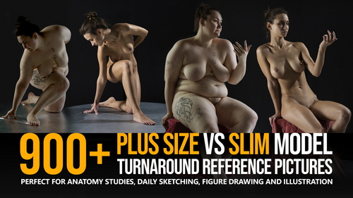 Pose & Reference Pack 800+