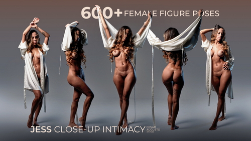 Pose & Reference Pack 800+