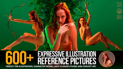 Pose & Reference Pack 800+