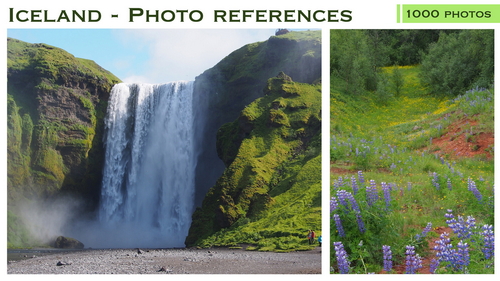 Pose & Reference Pack 800+