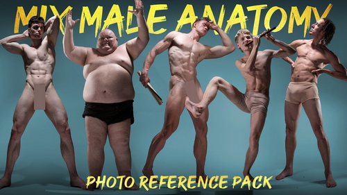 Pose & Reference Pack 800+