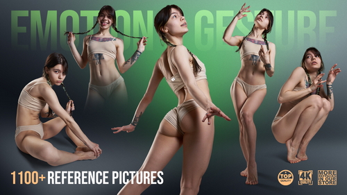 Pose & Reference Pack 800+