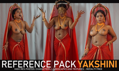 Pose & Reference Pack 800+