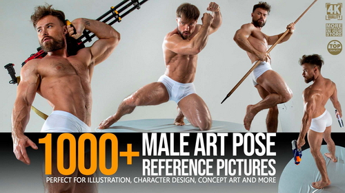 Pose & Reference Pack 800+