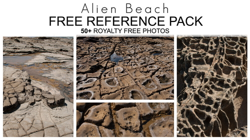 Pose & Reference Pack 800+