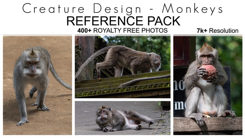 Pose & Reference Pack 800+