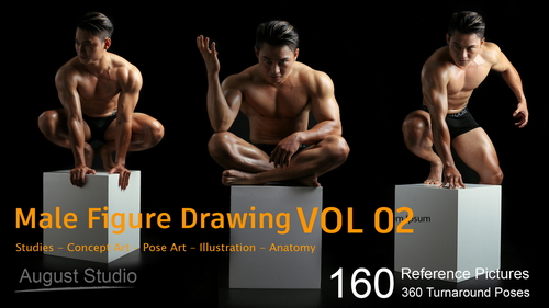 Pose & Reference Pack 800+