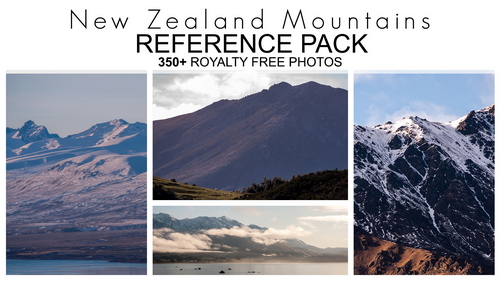 Pose & Reference Pack 800+