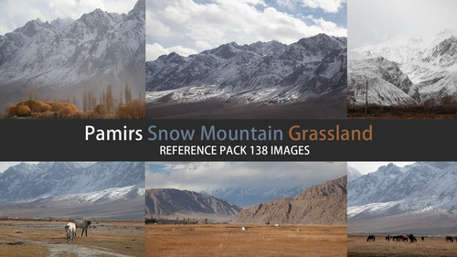 Pose & Reference Pack 800+