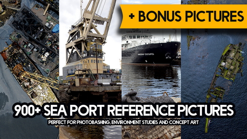 Pose & Reference Pack 800+