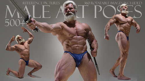 Pose & Reference Pack 800+