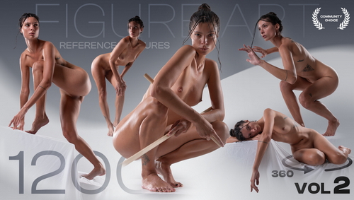 Pose & Reference Pack 800+