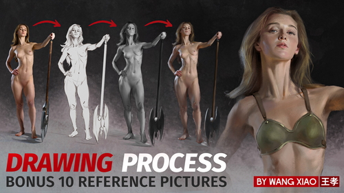 Pose & Reference Pack 800+