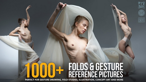 Pose & Reference Pack 800+
